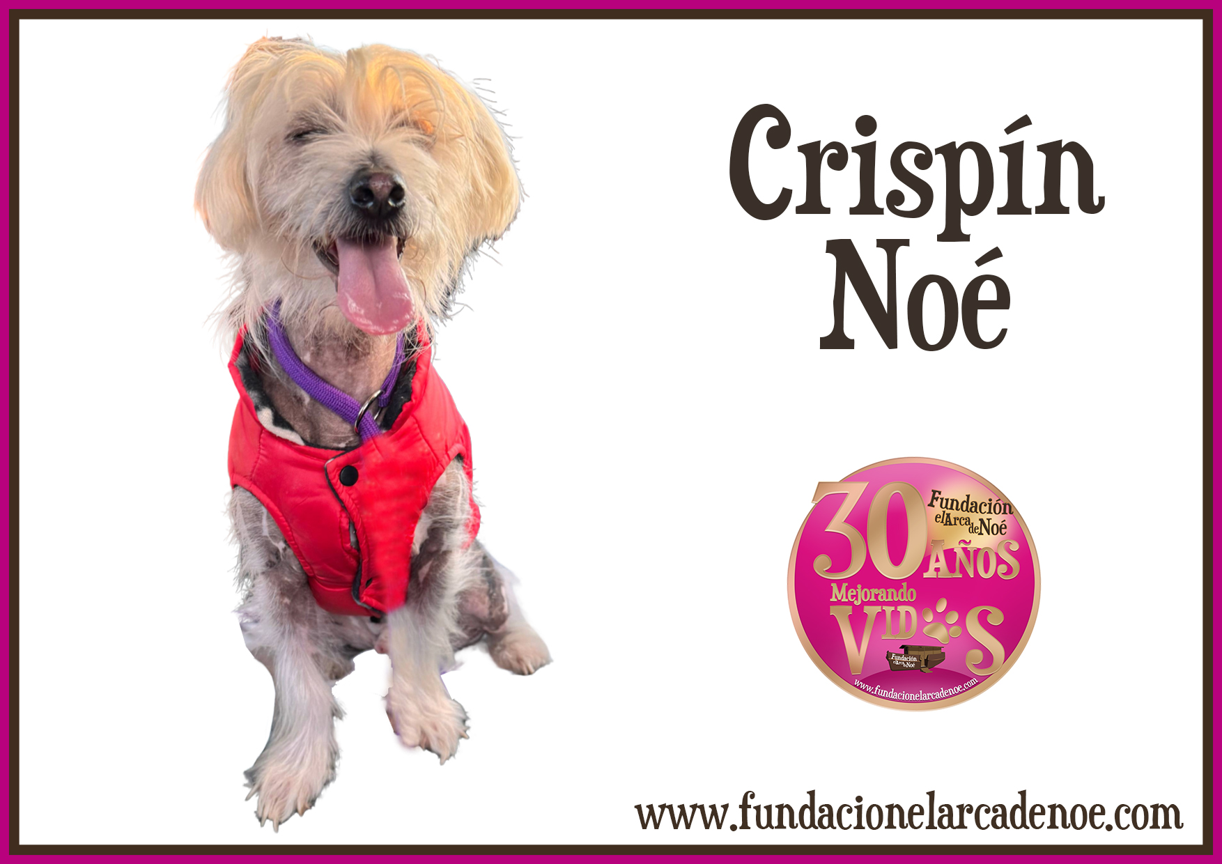 Crispín Noé